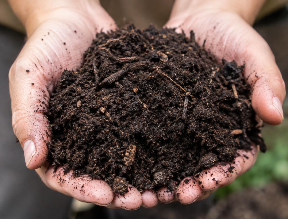 Hands holding dark, crumbly screened compost made at Barnside Farm